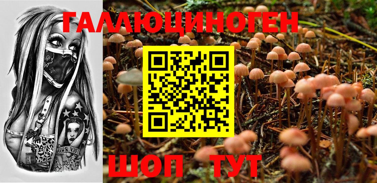 купить закладку  Галлюциногенные грибы мухоморы  Саров  Вход с VPN  Галлюциногенные грибы MAGIC MUSHROOMS 